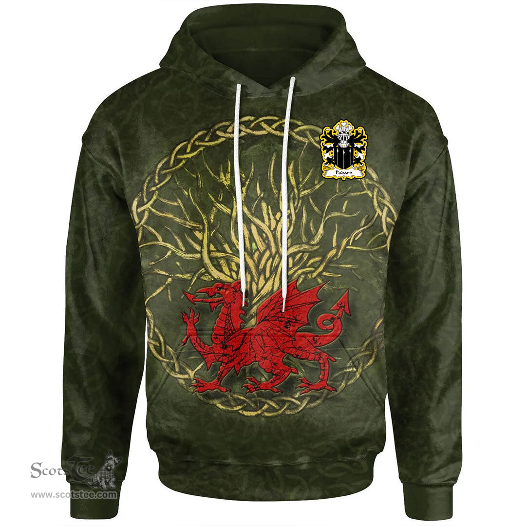 ScotsTee Shop Welsh Padarn PEISRUDD Coat of Arms Family Crest Wales Hoodie Welsh Dragon With Celtic Tree Hoodie