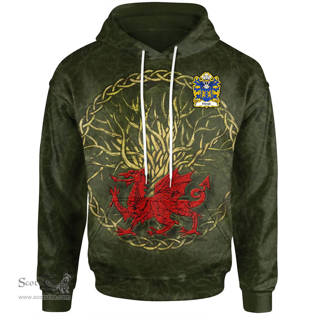 ScotsTee Shop Welsh Moyle or Mule of Ruthin Denbighshire Coat of Arms Family Crest Wales Hoodie Welsh Dragon With Celtic Tree Hoodie