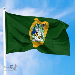 ScotsTee Shop Irish Campbell Coat of Arms Irish Family Crest Flag of Leinster Flag
