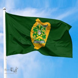 ScotsTee Shop Irish Curdy or McCurdy Coat of Arms Irish Family Crest Flag of Leinster Flag