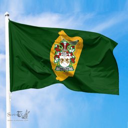 ScotsTee Shop Irish Collins Coat of Arms Irish Family Crest Flag of Leinster Flag