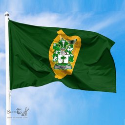 ScotsTee Shop Irish Going Coat of Arms Irish Family Crest Flag of Leinster Flag