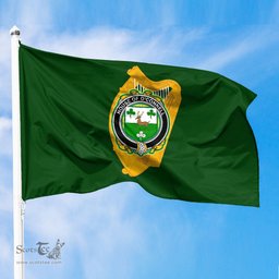 ScotsTee Shop Irish House of O CONNELL Coat of Arms Irish Family Crest Flag of Leinster Flag