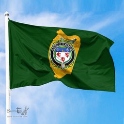 ScotsTee Shop Irish House of O KEARNEY Coat of Arms Irish Family Crest Flag of Leinster Flag