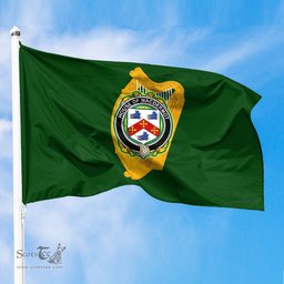 ScotsTee Shop Irish House of MACDERMOT Coat of Arms Irish Family Crest Flag of Leinster Flag