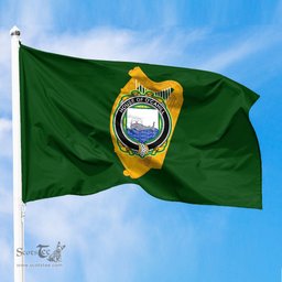 ScotsTee Shop Irish House of O CAHILL Coat of Arms Irish Family Crest Flag of Leinster Flag