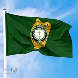 ScotsTee Shop Irish House of O DAVOREN Coat of Arms Irish Family Crest Flag of Leinster Flag