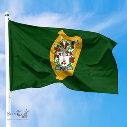 ScotsTee Shop Irish Toomey or O Twomey Coat of Arms Irish Family Crest Flag of Leinster Flag