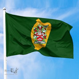 ScotsTee Shop Irish Wad Coat of Arms Irish Family Crest Flag of Leinster Flag
