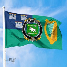 ScotsTee Shop Irish House of O HANLY Coat of Arms Irish Family Crest Flag of Dublin City Flag