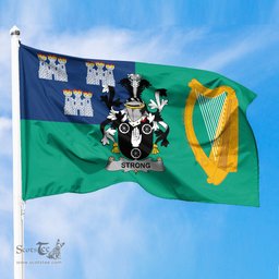 ScotsTee Shop Irish Strong Coat of Arms Irish Family Crest Flag of Dublin City Flag