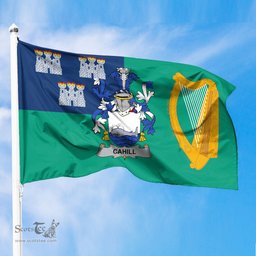 ScotsTee Shop Irish Cahill or O Cahill Coat of Arms Irish Family Crest Flag of Dublin City Flag