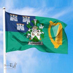 ScotsTee Shop Irish HawkinsIII Coat of Arms Irish Family Crest Flag of Dublin City Flag