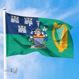 ScotsTee Shop Irish Hayden or O Hayden Coat of Arms Irish Family Crest Flag of Dublin City Flag