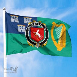 ScotsTee Shop Irish House of O FALLON Coat of Arms Irish Family Crest Flag of Dublin City Flag