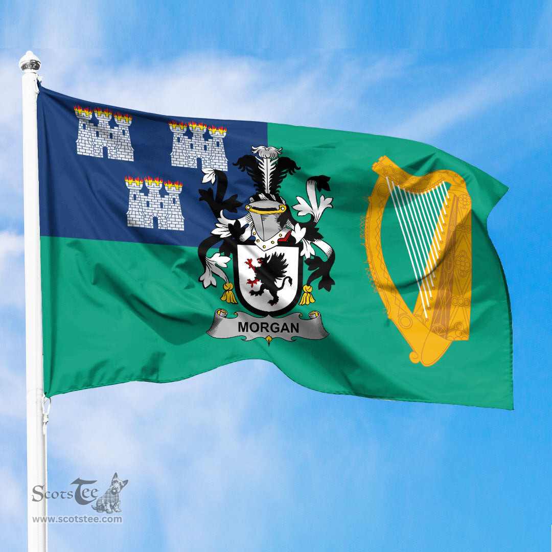 ScotsTee Shop Irish Morgan Coat of Arms Irish Family Crest Flag of Dublin City Flag