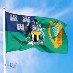 ScotsTee Shop Irish McGinty Coat of Arms Irish Family Crest Flag of Dublin City Flag