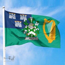 ScotsTee Shop Irish Tuly or McAtilla Coat of Arms Irish Family Crest Flag of Dublin City Flag