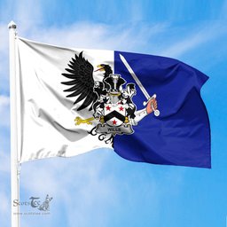 ScotsTee Shop Irish Wills Coat of Arms Irish Family Crest Flag of Connacht Flag