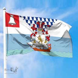 ScotsTee Shop Irish Halie or O Halie Coat of Arms Irish Family Crest Flag of Belfast Flag
