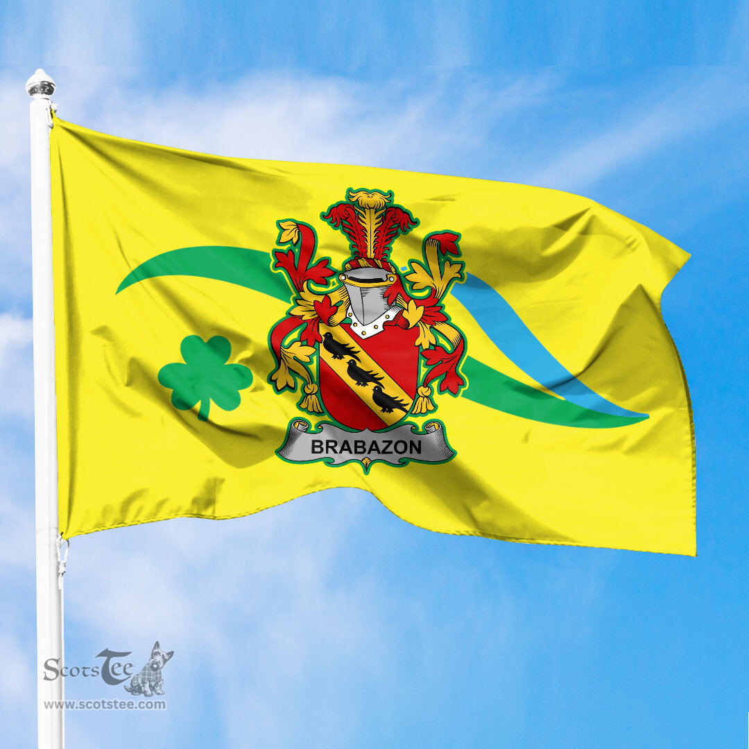 ScotsTee Shop Irish Brabazon Coat of Arms Irish Family Crest The Unofficial Flag of Dún Laoghaire–Rathdown County Council Flag