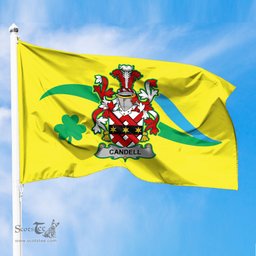 ScotsTee Shop Irish Candell Coat of Arms Irish Family Crest The Unofficial Flag of Dún Laoghaire–Rathdown County Council Flag