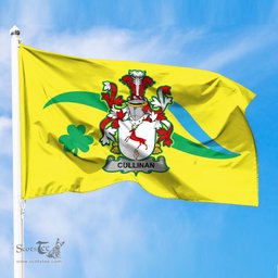 ScotsTee Shop Irish Cullinan or O Cullinane Coat of Arms Irish Family Crest The Unofficial Flag of Dún Laoghaire–Rathdown County Council Flag