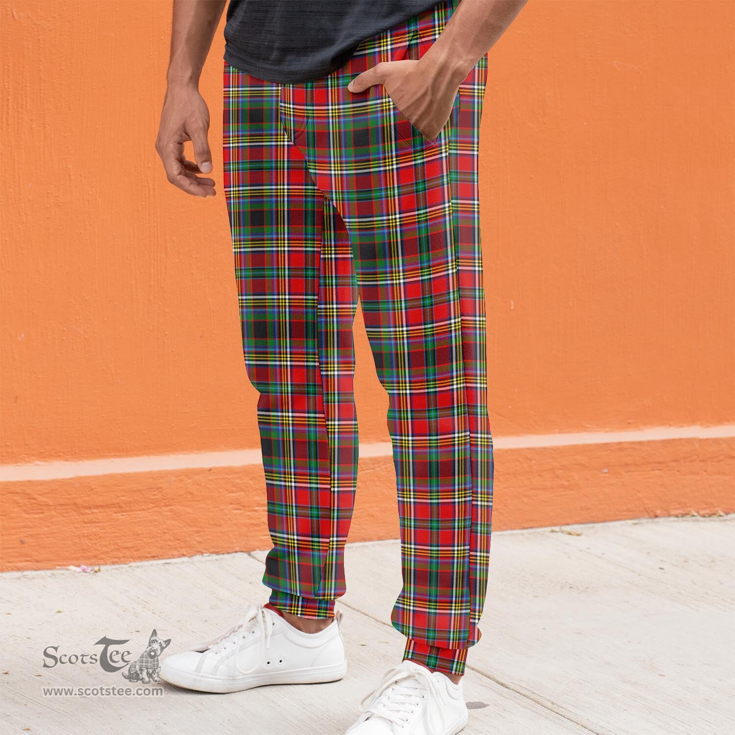 Scottish Anderson of Arbrake Clan Tartan Joggers Pants