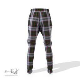 Scottish Stewart of Appin Dress Clan Family Crest Tartan Joggers Pants