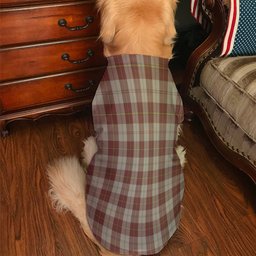 ScotsTee Shop Scottish Cunningham Burgundy Dancers Clan Tartan Dogs Tank Tops/ Dogs Pullover Hoodie/ Dogs Hawaiian Shirt/ Dog Pajama