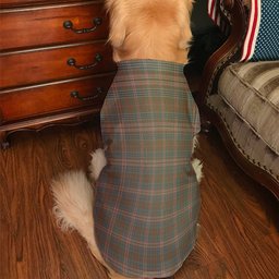 ScotsTee Shop Scottish Kennedy Weathered Clan Tartan Dogs Tank Tops/ Dogs Pullover Hoodie/ Dogs Hawaiian Shirt/ Dog Pajama