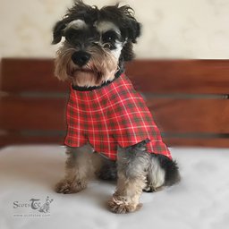ScotsTee Shop Scottish Duke of Rothesay Modern Clan Tartan Dogs Tank Tops/ Dogs Pullover Hoodie/ Dogs Hawaiian Shirt/ Dog Pajama