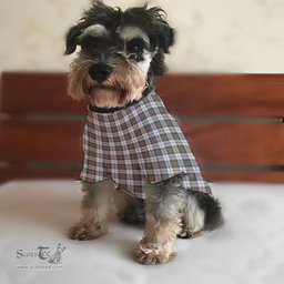 ScotsTee Shop Scottish MacDuff Dress Ancient Clan Tartan Dogs Tank Tops/ Dogs Pullover Hoodie/ Dogs Hawaiian Shirt/ Dog Pajama