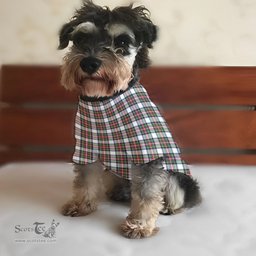 ScotsTee Shop Scottish Stewart Dress Modern Clan Tartan Dogs Tank Tops/ Dogs Pullover Hoodie/ Dogs Hawaiian Shirt/ Dog Pajama