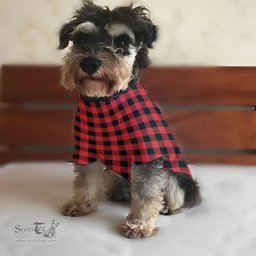 ScotsTee Shop Scottish Rob Roy MacGregor Modern Clan Tartan Dogs Tank Tops/ Dogs Pullover Hoodie/ Dogs Hawaiian Shirt/ Dog Pajama