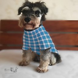 ScotsTee Shop Scottish Roberton Clan Tartan Dogs Tank Tops/ Dogs Pullover Hoodie/ Dogs Hawaiian Shirt/ Dog Pajama