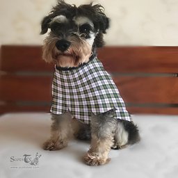 ScotsTee Shop Scottish MacPherson Dress Modern Clan Tartan Dogs Tank Tops/ Dogs Pullover Hoodie/ Dogs Hawaiian Shirt/ Dog Pajama