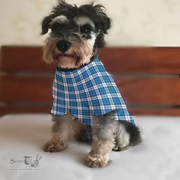 ScotsTee Shop Scottish Strathclyde District Clan Tartan Dogs Tank Tops/ Dogs Pullover Hoodie/ Dogs Hawaiian Shirt/ Dog Pajama