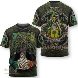 ScotsTee Shop Irish Boyle or O Boyle Coat of Arms Irish T Shirt Family Crest Irish Is My Root T Shirt
