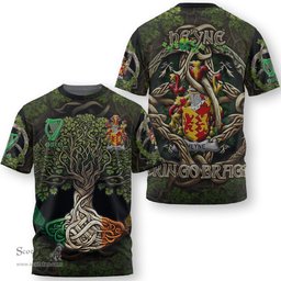 ScotsTee Shop Irish Heyne or O Heyne Coat of Arms Irish T Shirt Family Crest Irish Is My Root T Shirt