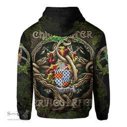 ScotsTee Shop Irish Chichester Coat of Arms Irish Hoodie Family Crest Irish Is My Root Hoodie
