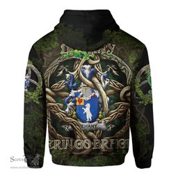 ScotsTee Shop Irish Dehany Coat of Arms Irish Hoodie Family Crest Irish Is My Root Hoodie