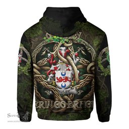 ScotsTee Shop Irish Ogilby Coat of Arms Irish Hoodie Family Crest Irish Is My Root Hoodie