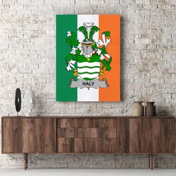 ScotsTee Shop Irish Haly Clan Family Crest Ireland Flag Framed Canvas Print