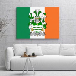 ScotsTee Shop Irish Haly Clan Family Crest Ireland Flag Framed Canvas Print