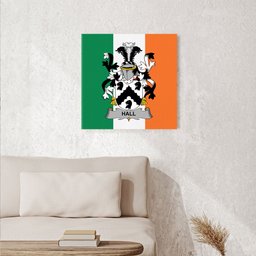 ScotsTee Shop Irish Hall or MacHall Clan Family Crest Ireland Flag Framed Canvas Print