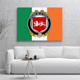 ScotsTee Shop Irish House of O TOOLE Clan Family Crest Ireland Flag Framed Canvas Print