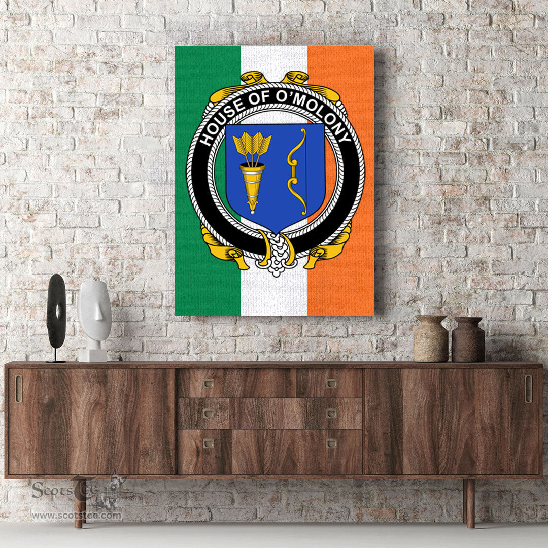 ScotsTee Shop Irish House of O MOLONY Clan Family Crest Ireland Flag Framed Canvas Print