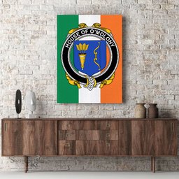 ScotsTee Shop Irish House of O MOLONY Clan Family Crest Ireland Flag Framed Canvas Print