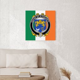 ScotsTee Shop Irish House of O FOGARTY Clan Family Crest Ireland Flag Framed Canvas Print